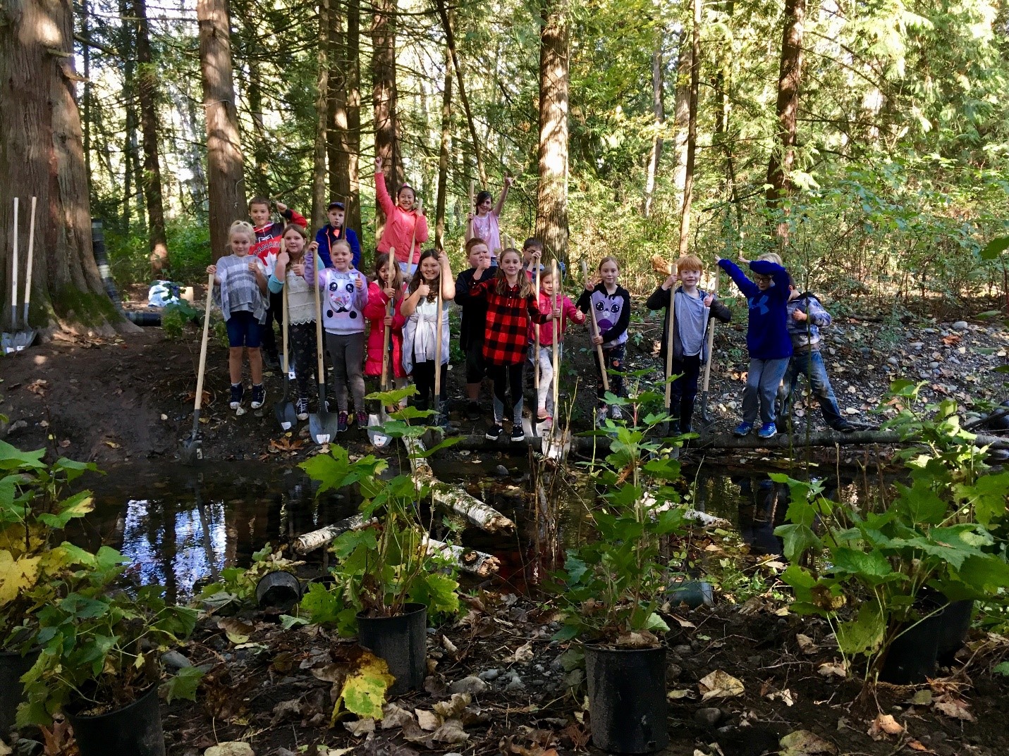 students planting trees and shrubs along salmon stream
